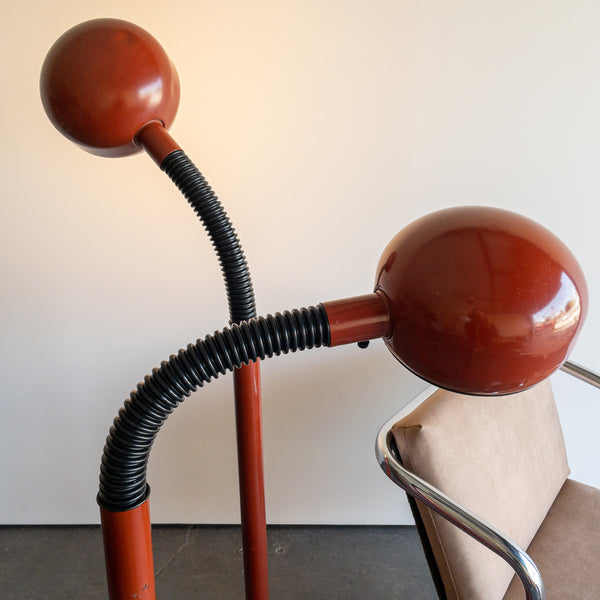 Brown Gooseneck Floor Lamps by Lightolier