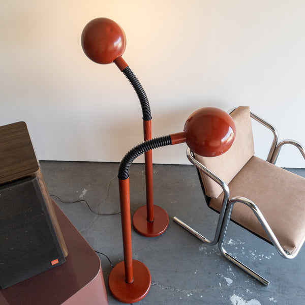 Brown Gooseneck Floor Lamps by Lightolier