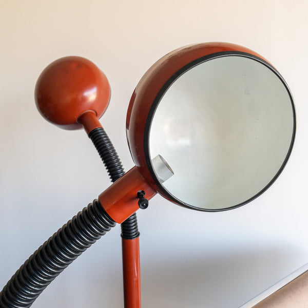 Brown Gooseneck Floor Lamps by Lightolier