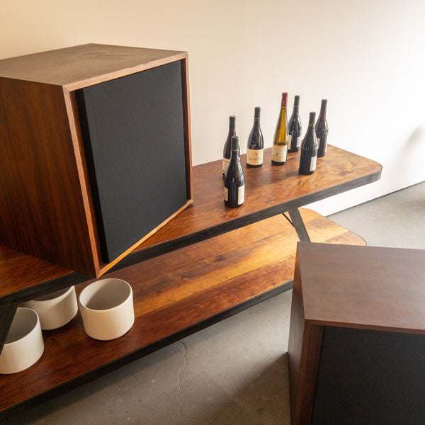 University Speakers in Brazilay Cabinets