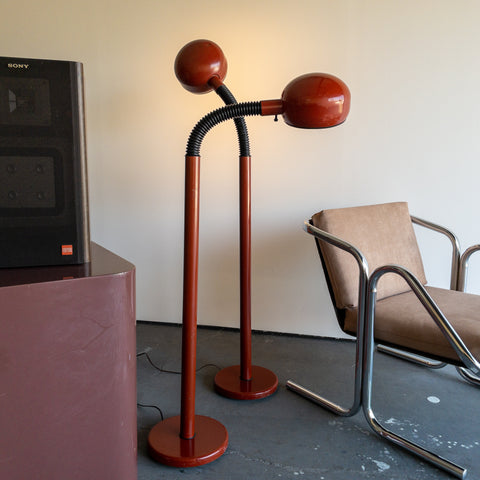 Brown Gooseneck Floor Lamps by Lightolier