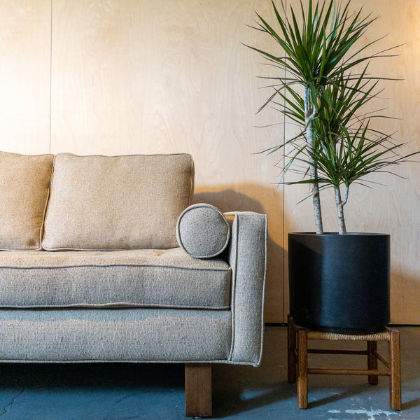 Vintage Mid Century Tan Sofa w/ Walnut Frame